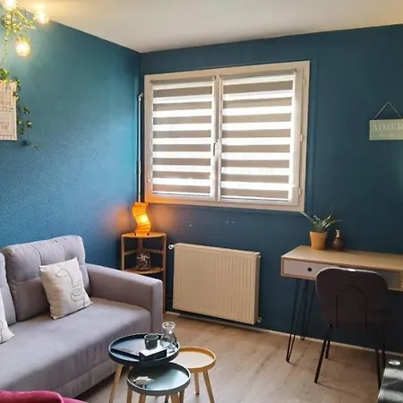 T2 Proche Chateau, Gare, Uco, Parking Prive Gratuit أنجير