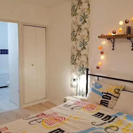 شقة T2 Proche Chateau, Gare, Uco, Parking Prive Gratuit أنجير