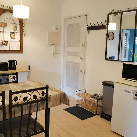 Apartament T2 Proche Chateau, Gare, Uco, Parking Prive Gratuit Angers