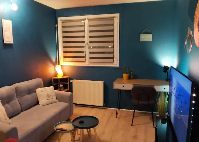 T2 Proche Chateau, Gare, Uco, Parking Prive Gratuit * 앙제