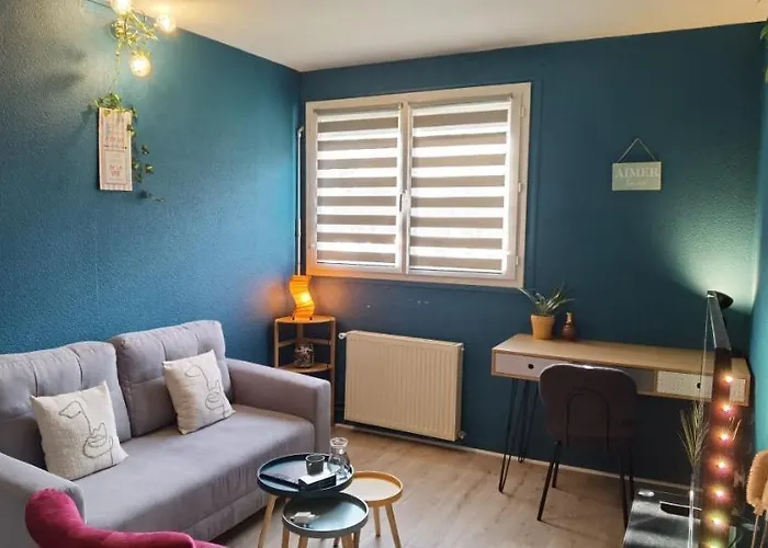 T2 Proche Chateau, Gare, Uco, Parking Prive Gratuit 앙제