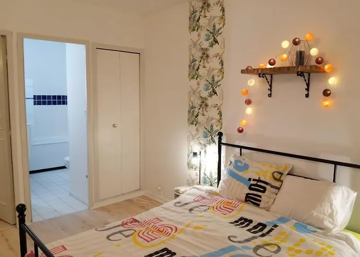 Appartement T2 Proche Chateau, Gare, Uco, Parking Prive Gratuit Angers