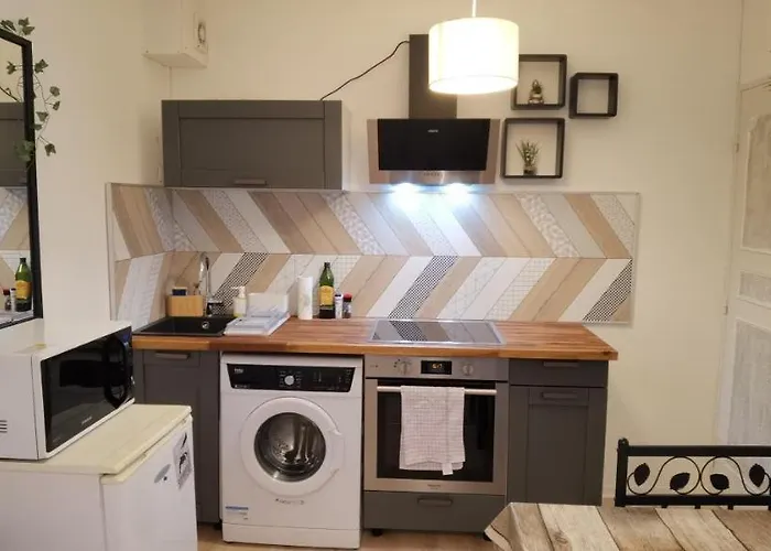 아파트 T2 Proche Chateau, Gare, Uco, Parking Prive Gratuit 앙제