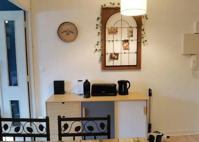 아파트 T2 Proche Chateau, Gare, Uco, Parking Prive Gratuit 앙제