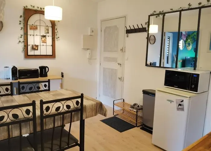 Appartement T2 Proche Chateau, Gare, Uco, Parking Prive Gratuit Angers
