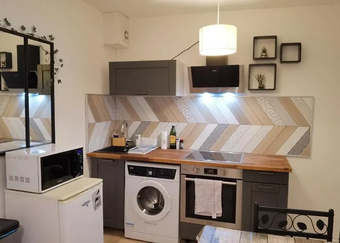 T2 Proche Chateau, Gare, Uco, Parking Prive Gratuit * 앙제